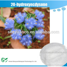 Sell, 20-Hydroxyecdyson-Ecdyson-Pulver 5289-74-7